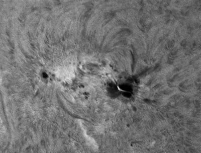 Malá erupce v aktivní oblasti NOAA11785 ze dne 5. července 2013 v 12:43:13 UT. Jasný útvar nad umbrou (tmavým místem) vedoucí skvrny je slabá erupce. Celá oblast se vyznačovala pěknou strukturou v chromosféře, včetně několika tmavých filamentů (tmavší "proužky" v aktivní oblasti). Foto: Hvězdárna Valašské Meziříčí