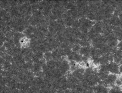 Dvě menší aktivní oblasti NOAA 12069 (vlevo) a 12072 (vpravo) ze dne 21. května 2014 v 07:04:45 UT. Snímek je pořízený ve spektrální čáře Ca II K. I zde si můžete povšinout flokulí.