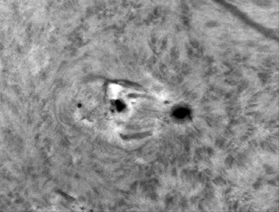 Již výše zmíněná oblast NOAA 12080 s erupcí o mohutnosti  C1.1, zachycená dne 6. 6. 2014 v 10:30:17 UT ve spektrální čáře H-alpha. Na snímku kromě erupce u pravé skvrny jsou patrné i malé filamenty patřící k této aktivní oblasti. Vpravo nahoře si můžete všimnout části filamentu, který jsme taktéž pozorovali a lze si jej prohlédnout celý na posledním snímku naší malé fotogalerie. 