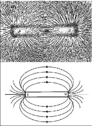 Obrázek 1: Známý pokus ze školní fyziky - želené piliny vysypané na papír přiložený k tyčovému magnetu se zorientují ve směru jeho magnetického pole (nahoře). Ve shodě s tímto pokusem lze strukturu magnetického pole znázornit magnetickými siločarami (dole).