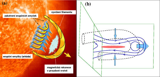 Obrázek 5: Současná schematická představa mechanismu slunečních erupcí. (a) Obrázek od P. Gallaghera na archivu schemat slunečních erupcí H. Hudsona znázorňuje vyvržení magnetické struktury tvořené spirálovitě zkroucenými siločarami - tzv. filamentu. Při rekonexi vzniklé v proudové vrstvě pod vyvrženým filamentem vytvoří nově přepojené siločáry arkádu erupčních smyček. Místa jejich zakotvení ve spodních vrstvách sluneční atmosféry pozorujeme během erupcí jako pár jasných vláken. Ta vznikají díky tomu, že částice urychlené elektrickým polem v místě rekonexe se šíří směrem dolů právě podle nově vzniklých magnetických siločar. (b) Detailnější pohled na vznik proudové vrstvy a tím i příhodných podmínek pro rekonexi. Filament je naznačen jako magnetická silotrubice čárkovanými čarami. Plné modré linie znázorňují projekci magnetických siločar do svislé roviny uprostřed obrázku. Jak filament stoupá (naznačeno silnou modrou šipkou), táhne s sebou i ty magnetické siločáry, jež ho shora obepínají. Protože v oblasti za unikajícím filamentem je relativní podtlak, je do tohoto místa nasáváno okolní plazma (tenčí modré šipky). To s sebou strhává i střední části těchto siločar, jež se tak k sobě přibližují – struktura magnetického pole je uprostřed oblasti poněkud zaškrcena. Vzhledem k tomu, že tyto části siločar mají vzájemně opačnou orientaci (jak naznačují malé šipky na siločárách) dochází uprostřed ke vzniku proudové vrstvy (červená oblast). Elektrický proud v tomto případě teče kolmo k nákresně směrem od nás. 