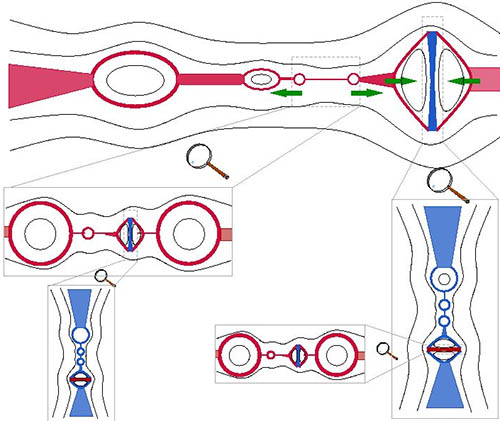Obrázek 13: Schema kaskádních procesů v magnetické rekonexi jak byly skutečně pozorovány v našem numerickém experimentu s velmi vysokým rozlišením. Simulace nejenže poprvé přesvědčivě potvrdila oprávněnost Shibatovy představy (rozbíhající se šipky naznačují prodlužování a ztenčování proudové vrstvy mezi dvěma vzdalujícími se plasmoidy), ale zároveň zcela nově odhalila význam spojování (koalescence) plasmoidů pro fragmentaci proudových struktur: I mezi přibližujícími se plasmoidy vzniká stlačováním (naznačeno vstřícnými šipkami v pravé části obrázku) tenká proudová vrstva, kolmá k té původní, ve které může dojít ke vzniku další generace plasmoidů na menších prostorových škálách. Červené a modré oblasti naznačují proudové vrstvy; proud teče kolmo k nákresně směrem k nám (modré oblasti) nebo od nás (červené). Jak je patrné na naznačených zvětšených výřezech, k fragmentaci dochází kombinací obou mechanismů. 